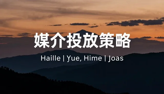 提升用户增长的媒介投放策略与日常维护技巧